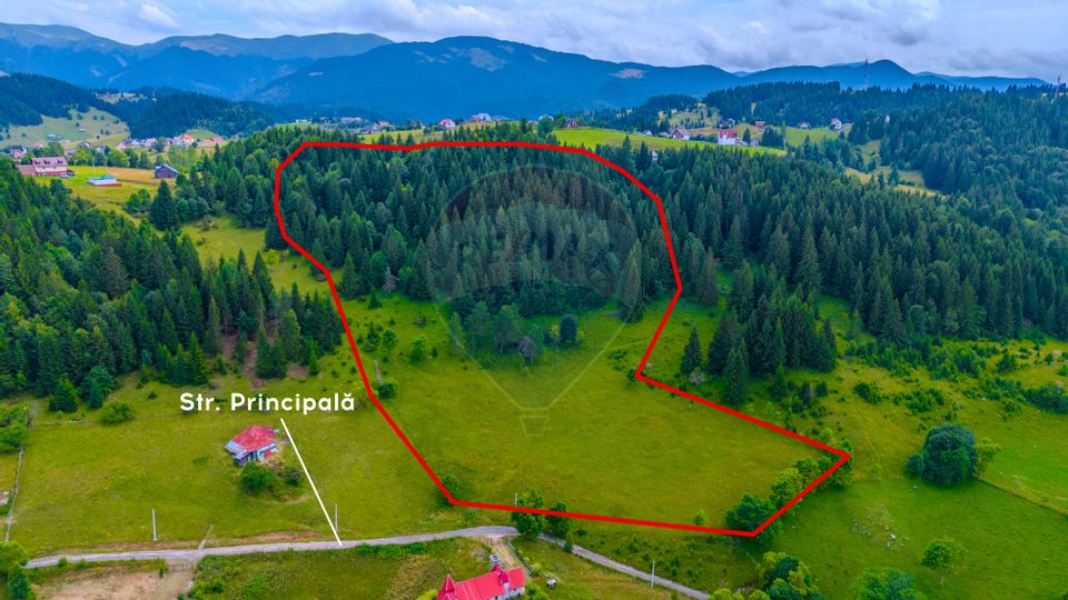 Land 22,000sqm Fundata / Strada Principala