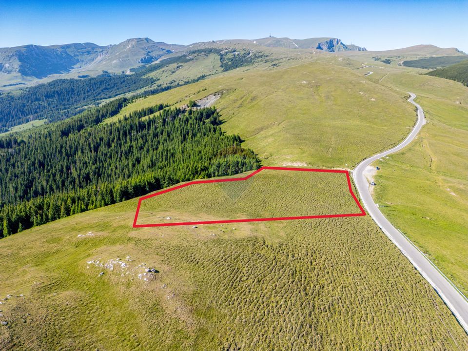 Teren intravilan Transbucegi / Oportunitate de dezvoltare Transbucegi