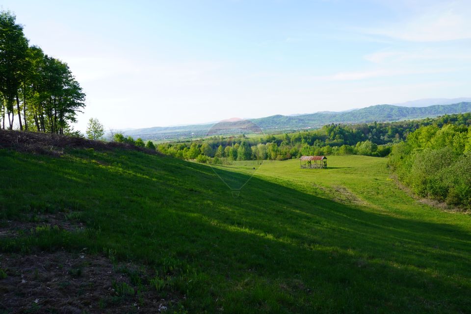 Teren 15,000mp Sighetu Marmatiei / Strada Mocăniței