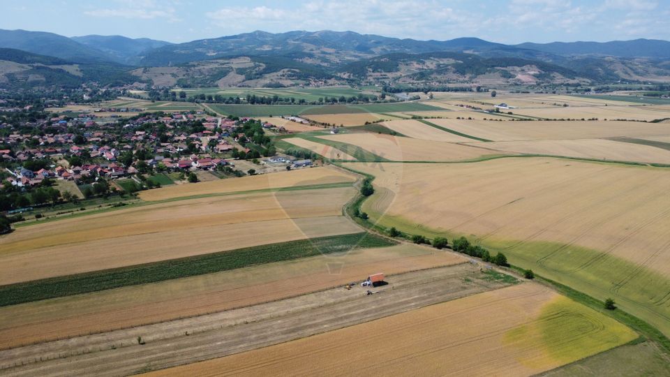 Teren industrial 5.000 mp Vintu de Jos – amplasament strategic