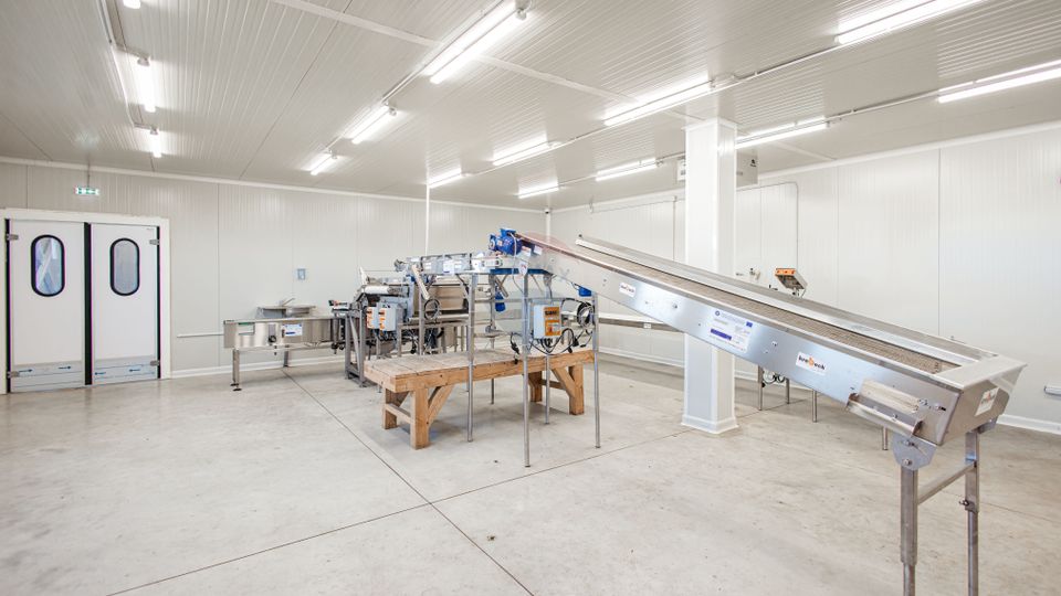 Plantatie de afine la cele mai inalte standarde, de vanzare!