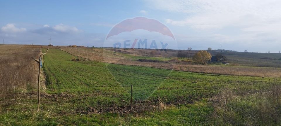 Land 7,679sqm Simleu Silvaniei / Strada Ioan Sima