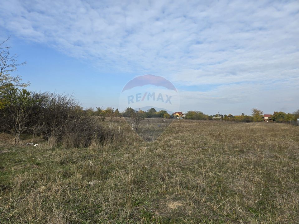 Generous plot of land Chitila / Ideal investment