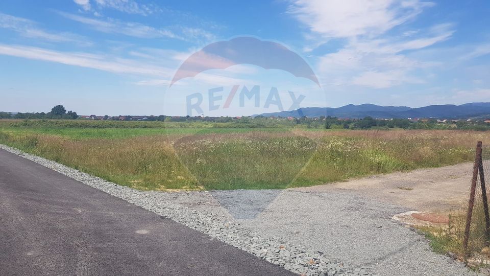 Land 800sqm Baia Mare / Strada Trandafirilor