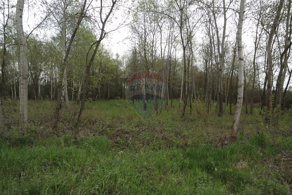 Land 1,900sqm Baia Mare / Strada 124