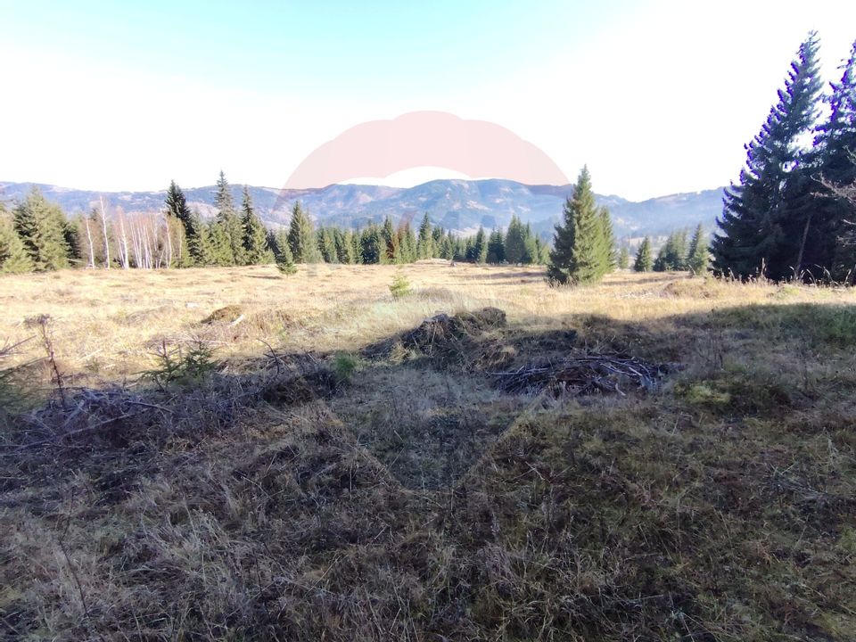 Teren 16,289mp Coverca / Drumul Bucinis