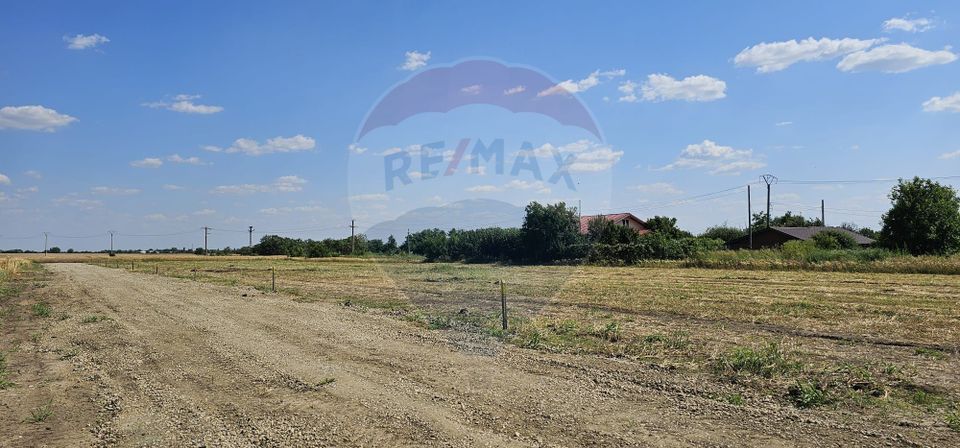 Land 490sqm Postavari / None