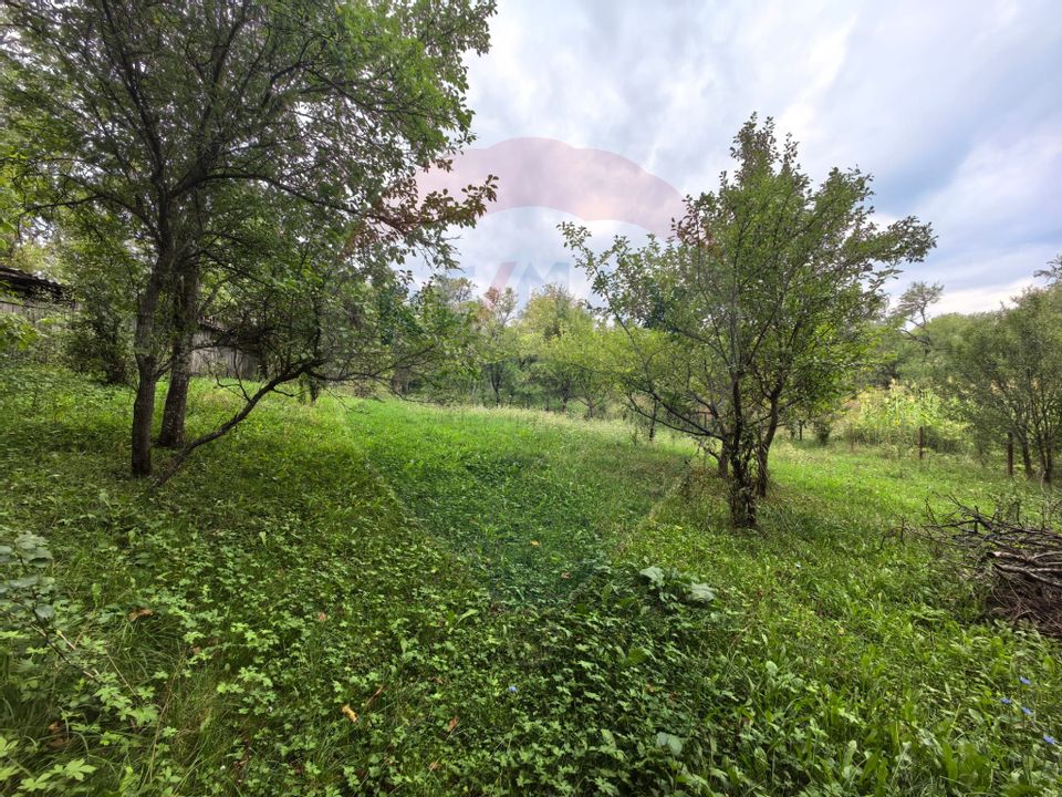 Casa traditionala De Vanzare cu 5 Hectare de teren