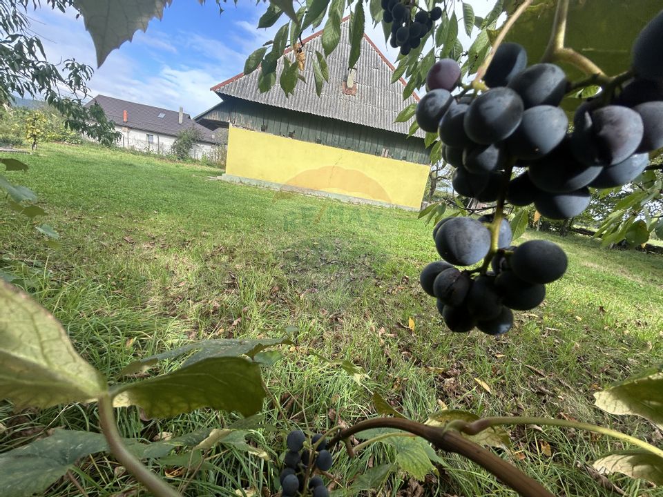 Casa - sura cu 16 ari teren de vânzare în Buşag