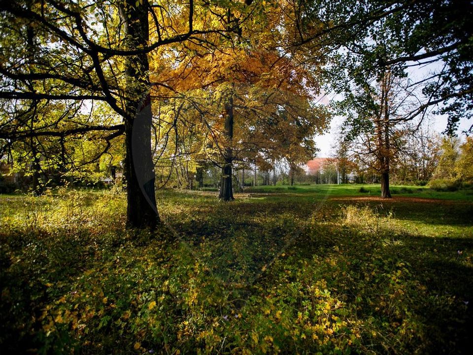 Domeniu Baronial de vanzare in localitatea CIL , Judet Arad