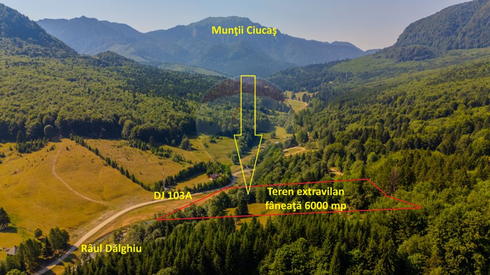 Land 6,000sqm Dalghiu / DJ 103A