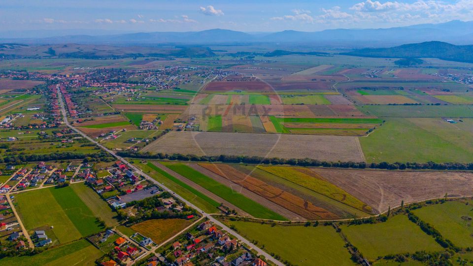 Teren 10,000mp Bod/Extravilan