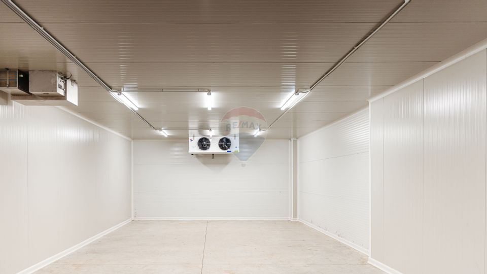 Land 27,720sqm Seini / Drumul E 58