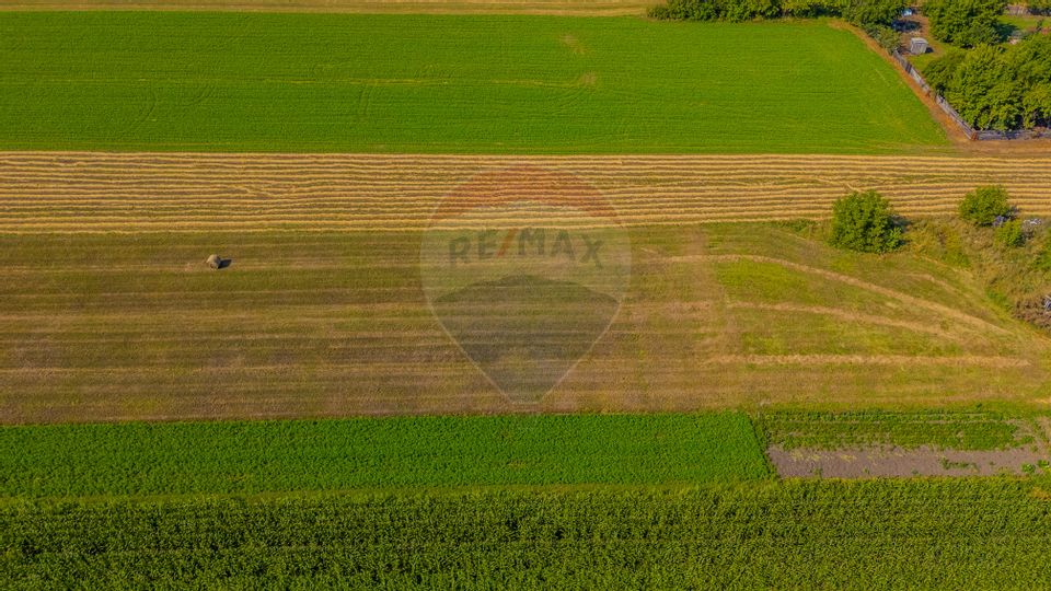 COMISION 0% Teren 3098 mp Brasov / Stupini