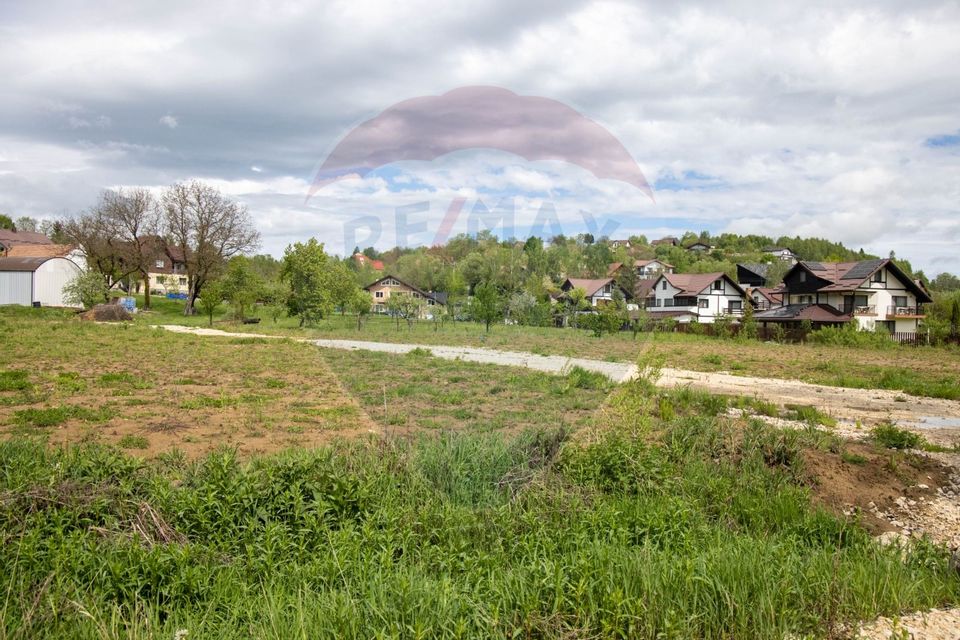 Teren de vânzare cu potențial turistic–Predeluț,comuna Bran