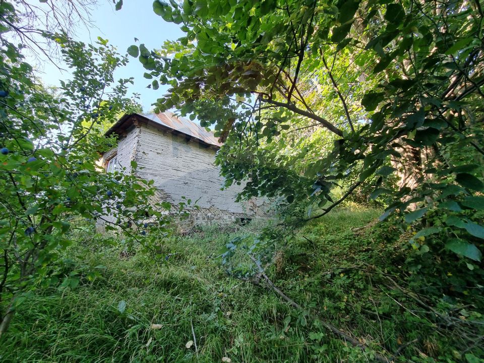 Teren cu Casa Veche in suprafata de 6000 mp, Breaza de Jos -Parcelabil