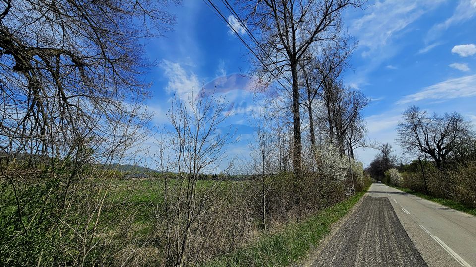 Land 10,000sqm Nemtisor / DJ 155C