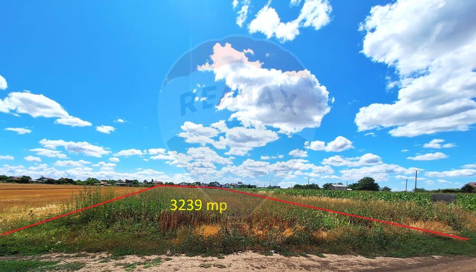 Teren Focsanei / DN sat Focsanei Vadu Pasii