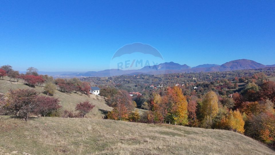 Teren 2,500mp Bran / Strada Bradul Inalt