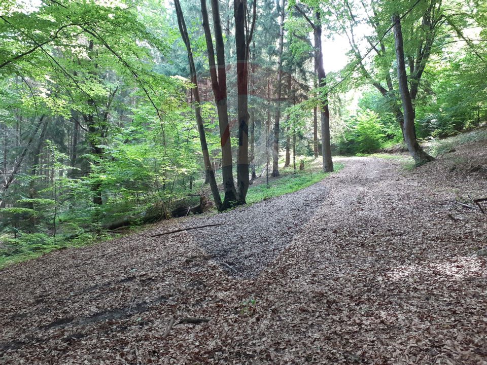 Land 2,000sqm Rasnov / Strada Glajerie