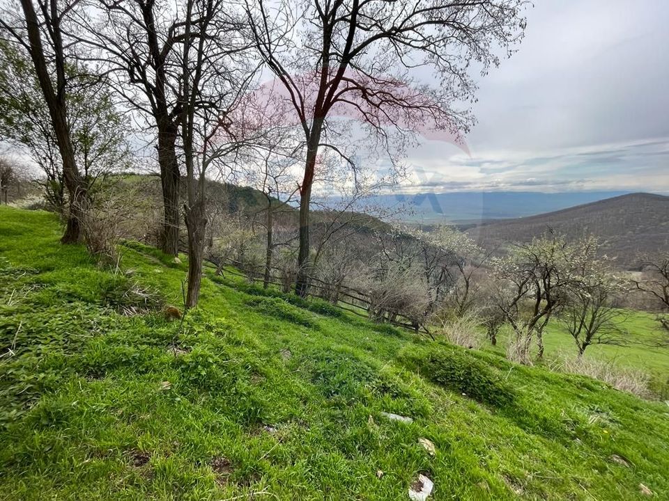 Land 48,428sqm Laz (Vintu de Jos) / Strada PRINCIPALA