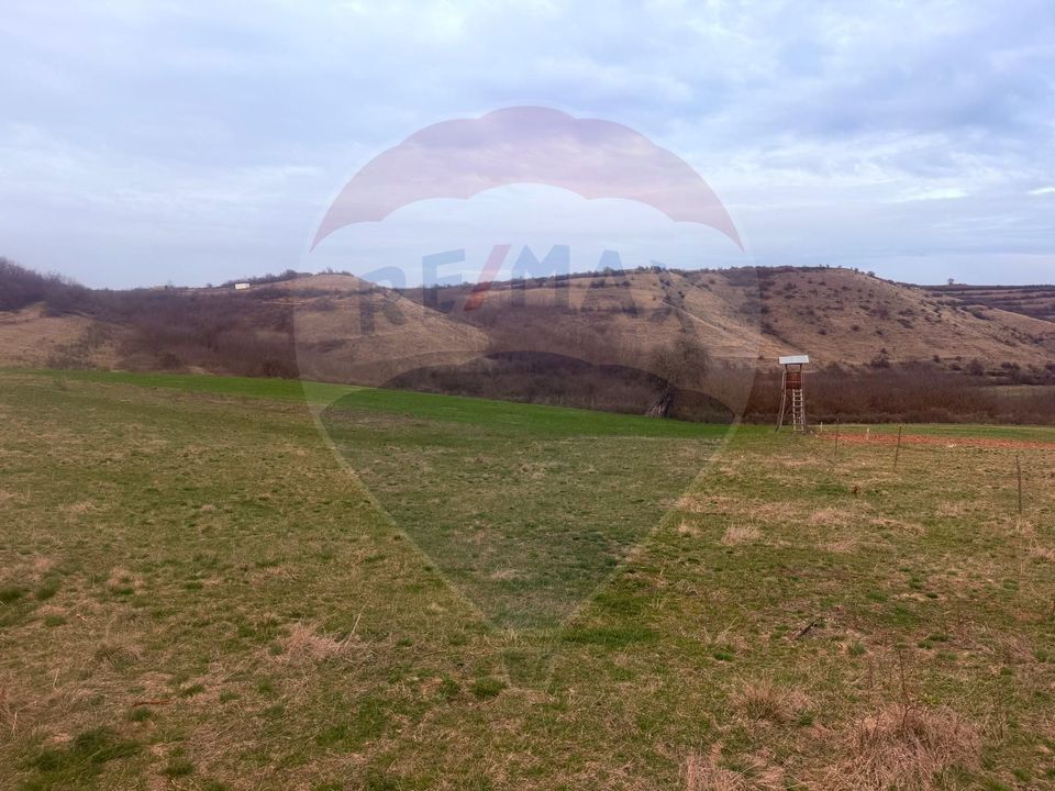 Land 3,400sqm Criseni / Strada principala