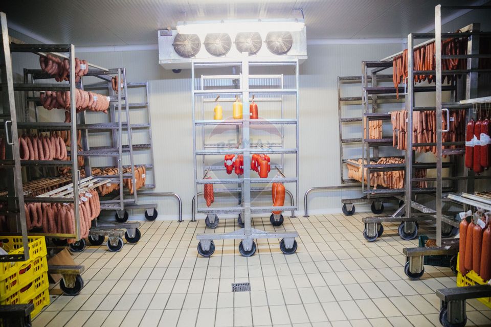 Spațiu industrial de 1,700mp de închiriat în zona Vasile Alecsandri