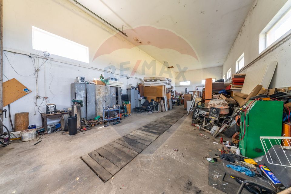 Spațiu industrial cu potential de vanzare in Paulis,Arad