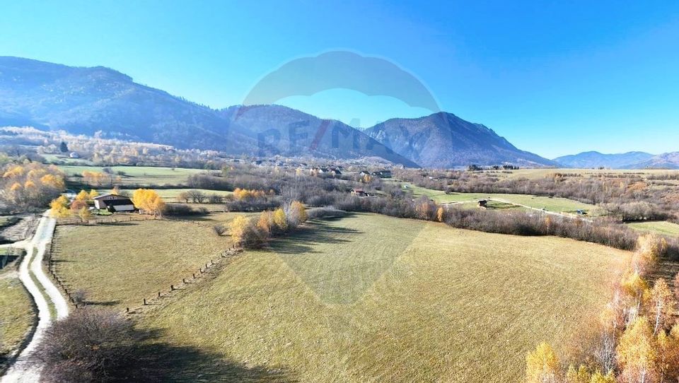 Land 17,100sqm Zarnesti / Strada Tohanita