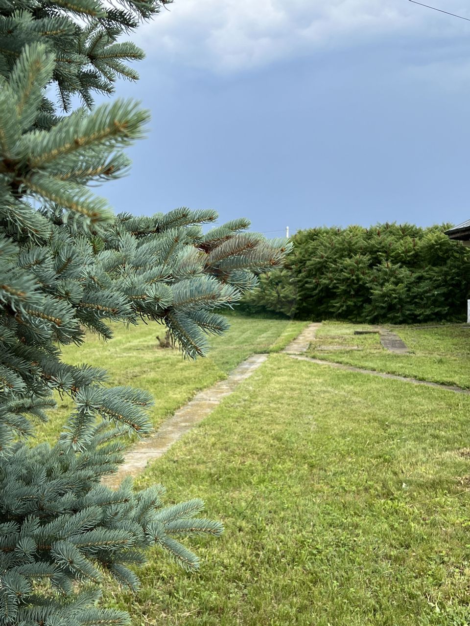 Proprietate speciala Dragomiresti Deal -Teren 15000 mp