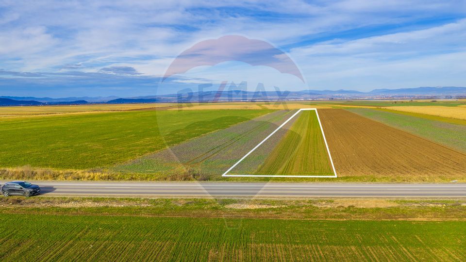 Teren 10,000mp Tarlungeni