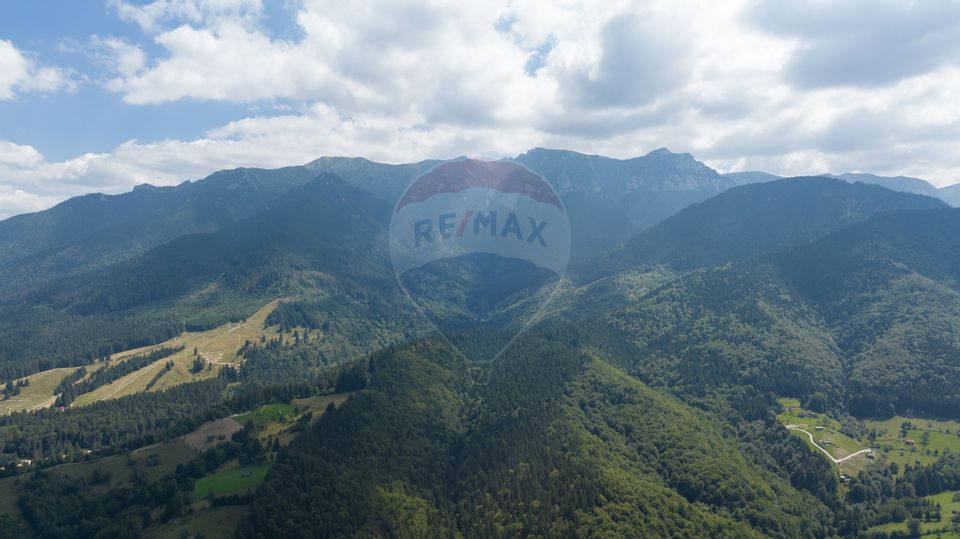 Teren Panoramic in Bran – Vedere spre Bucegi & Piatra Craiului