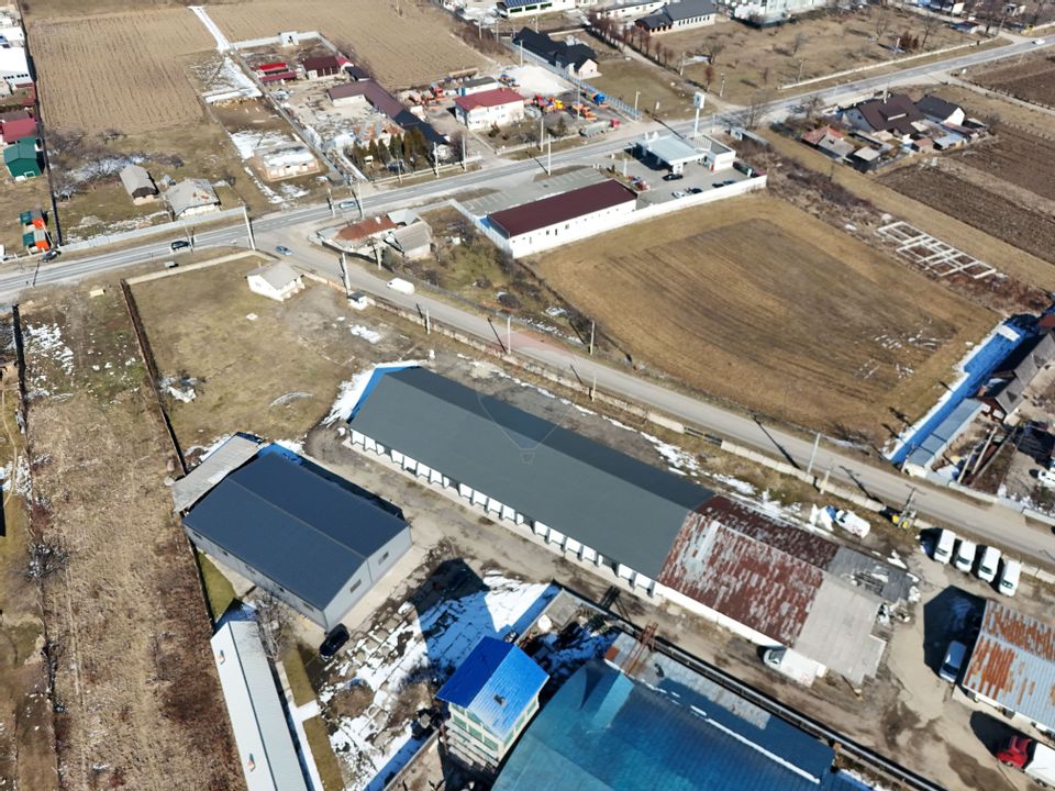 Hale industriale de închiriat în Tg Neamț