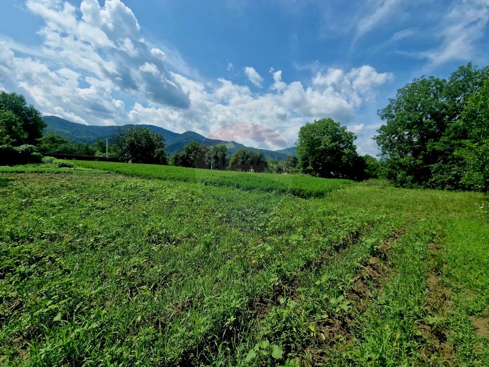 Teren intravilan 1000 mp – Viișoara, utilități