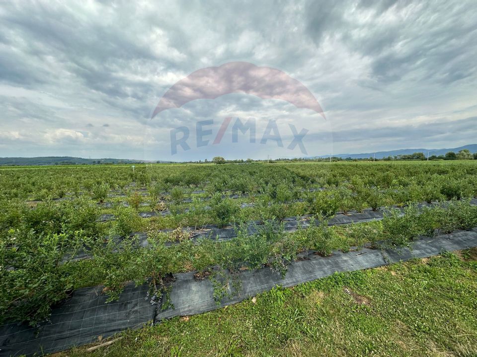 Land 29,656sqm Bozanta Mica / Strada Deva