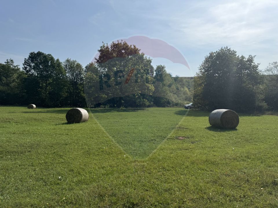 Teren 10.000 mp Calatele – Apuseni, langa rau, ideal investie turism