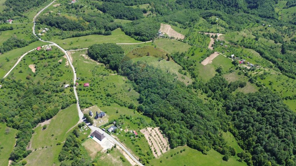 DE VÂNZARE – Teren intravilan Codru Butesii / Strada Principală