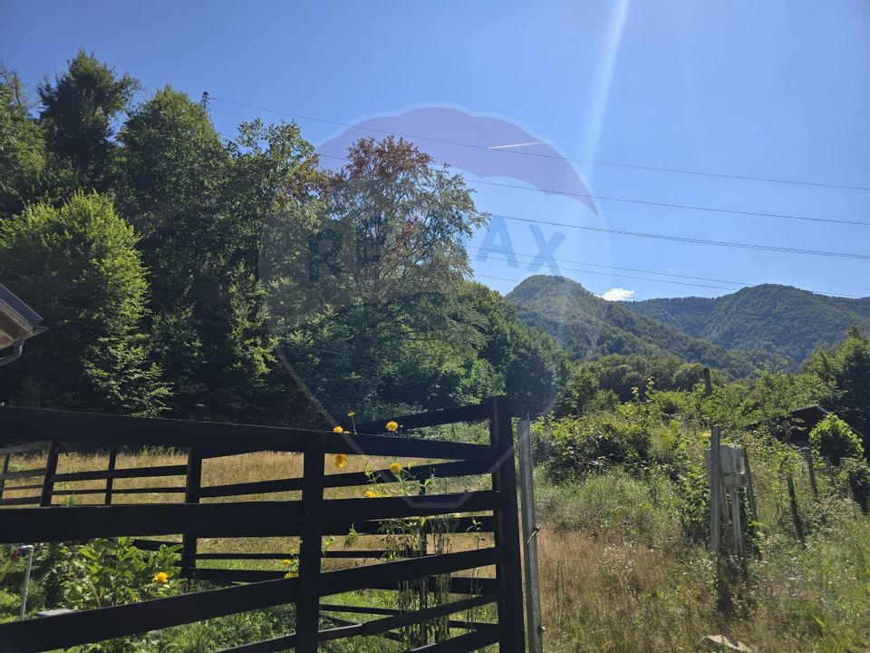 Teren 4,000mp Pascoaia / Soseaua Punctul Chiliilor