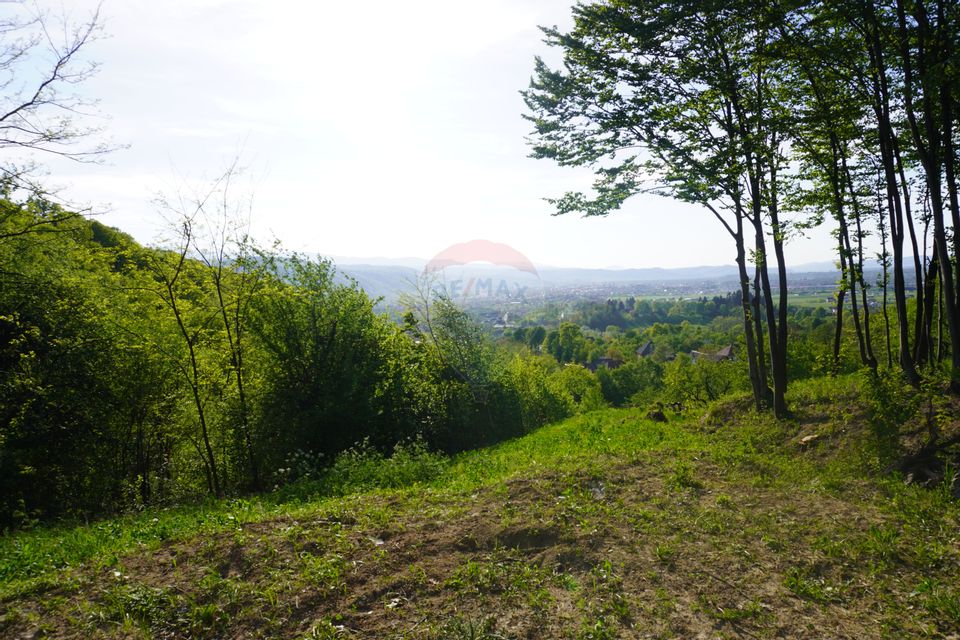 Teren 15,000mp Sighetu Marmatiei / Strada Mocăniței