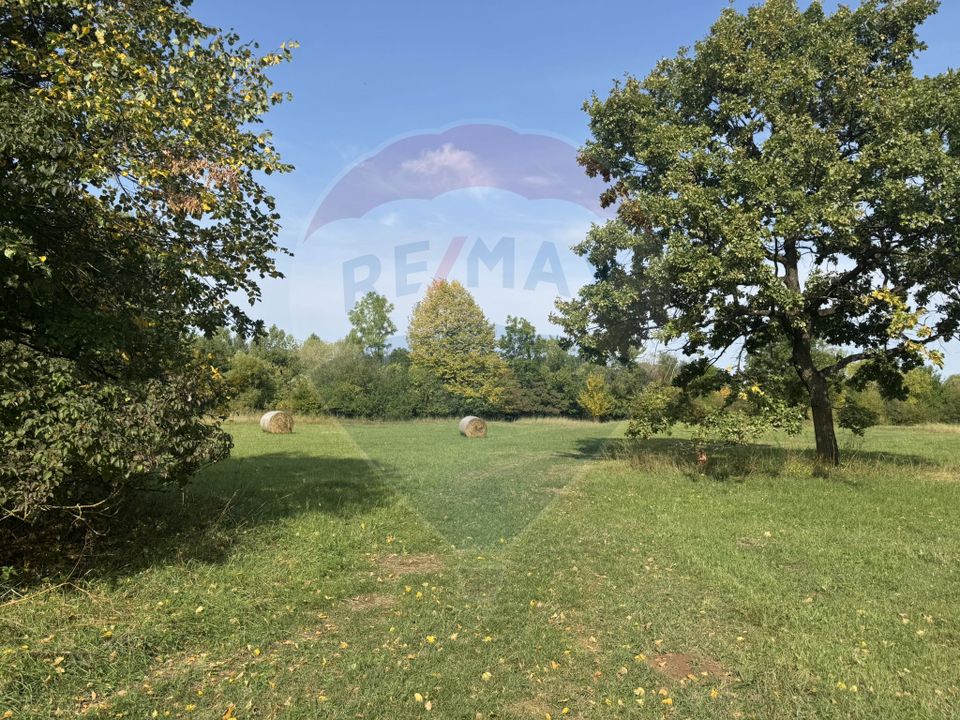 Teren 10.000 mp Calatele – Apuseni, langa rau, ideal investitie turism