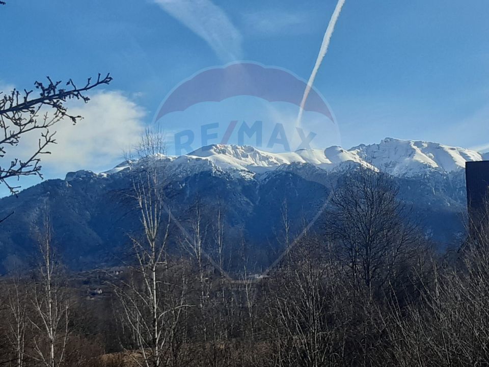 Land 10,279sqm Predelut / Strada Pe Tarina