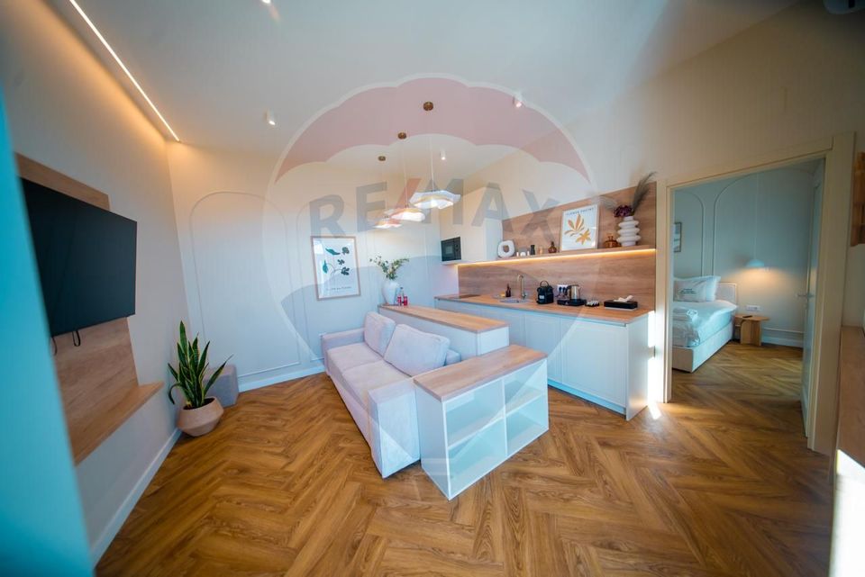 14 room Hotel / Pension for sale, Ultracentral area