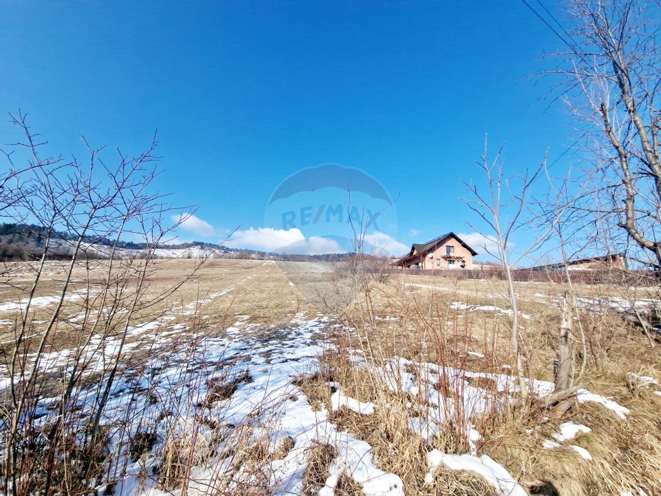 Teren 2,344mp Garcina / Aleea Coasta lui Bojoaga