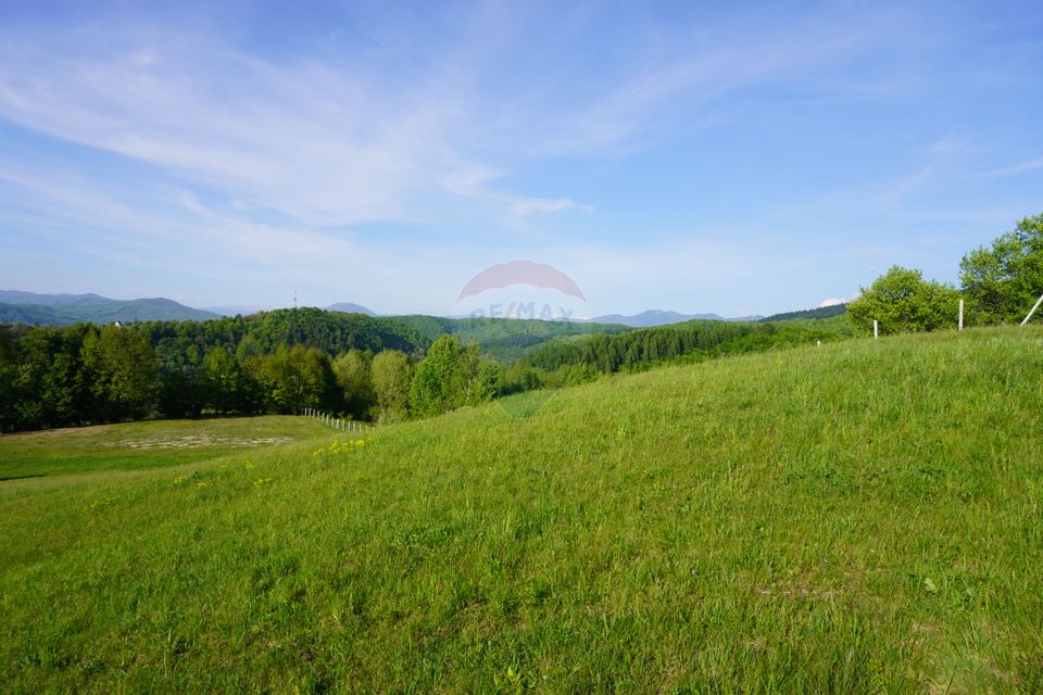 Land 38,592sqm Sighetu Marmatiei / Strada Mocăniței