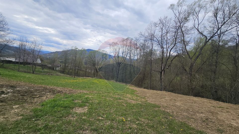 Land 2,910sqm Chiriteni / DN 15