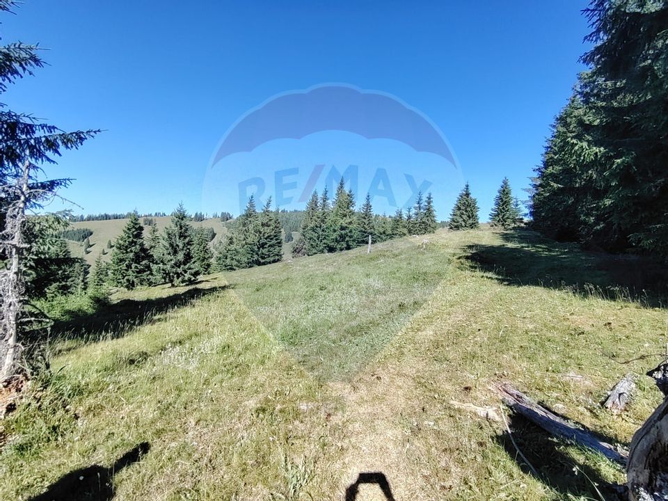 Teren 24,581mp Panaci / Strada Mihăileț