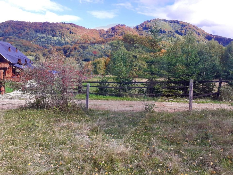 Comision Teren Rasnov - Strada Poiana velicanului, 5167mp