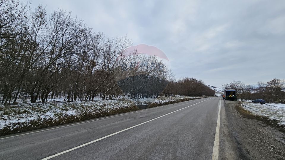 Teren 10,000mp Rădășeni / Șoseaua DN2-E85, județul Suceava