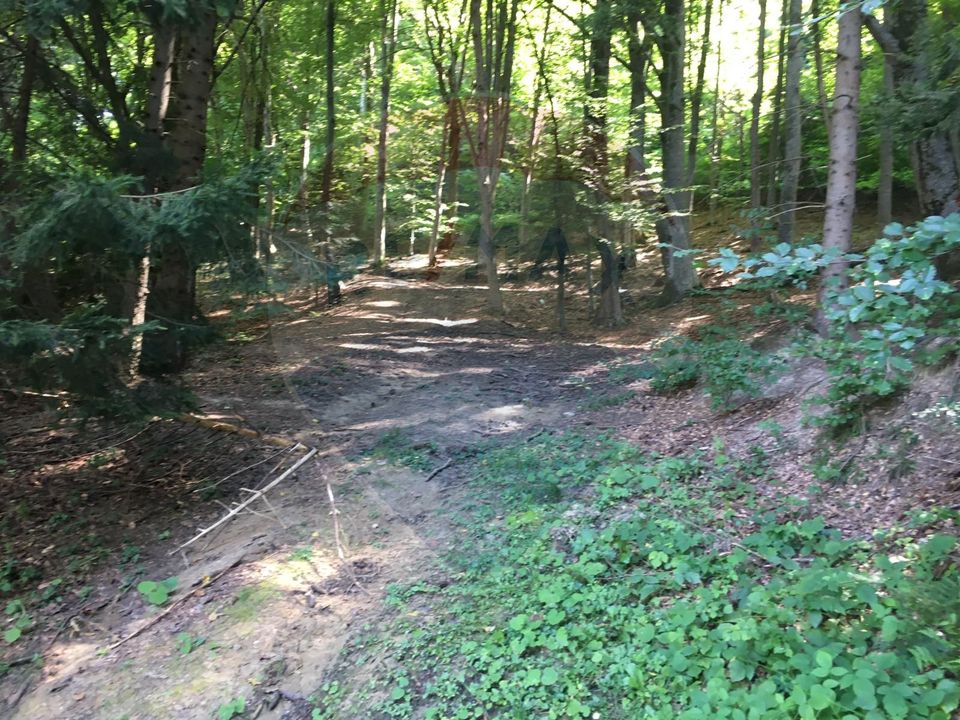 Teren extravilan - fâneață 2000mp Râșnov -Strada Glajerie langa padure