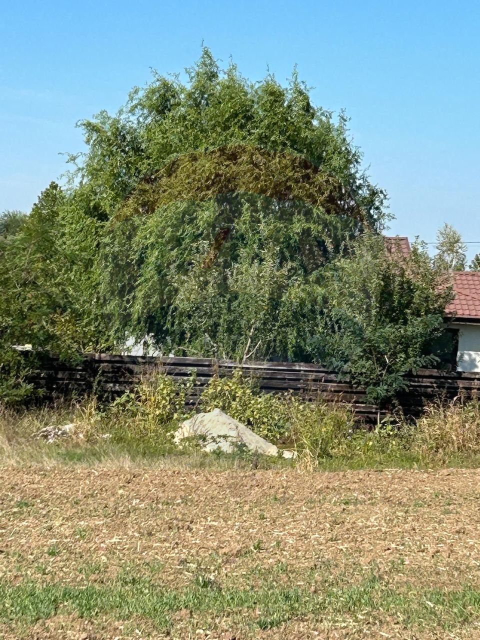 VANZARE teren intravilan Dumbraveni /Balotesti/str. Lahovari